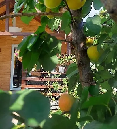 Sorina Lodge Corbu (Constanta)