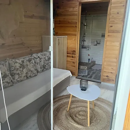 Sorina Lodge *