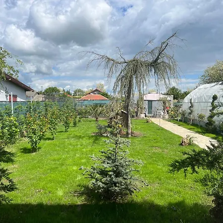 Lodge Sorina Corbu (Constanta)