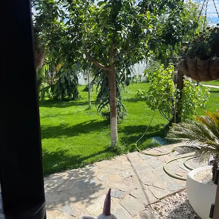 Sorina بيت خشبي