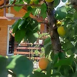 Sorina Lodge Corbu (Constanta)