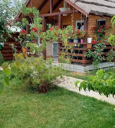 Sorina Corbu (Constanta)