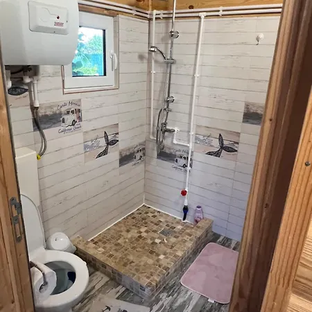 אכסניה Sorina קורבו