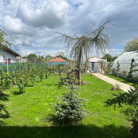 Cabană Sorina Corbu (Constanta)