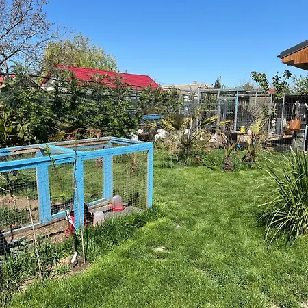 Sorina אכסניה קורבו