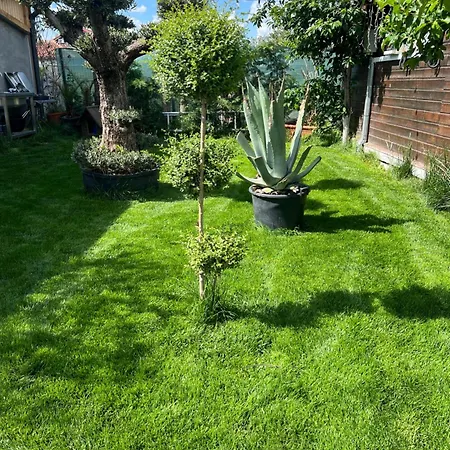 Sorina Cabană Corbu (Constanta)