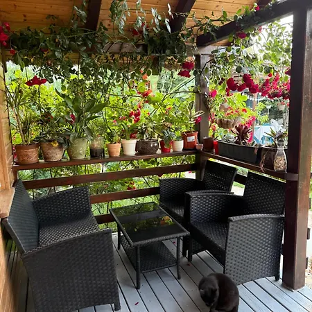 Sorina Lodge *